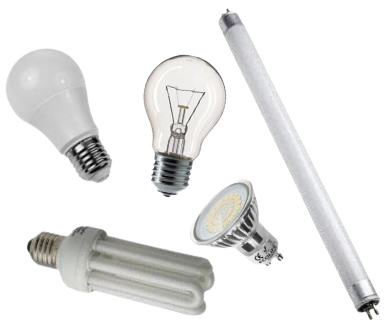 Bulbs Neon lights